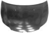 VAN WEZEL 0970670 Bonnet